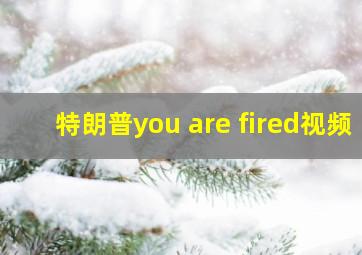 特朗普you are fired视频